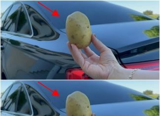 The Lifesaving Potato: An Unlikely Hero in Your Car