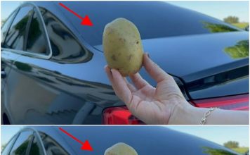 The Lifesaving Potato: An Unlikely Hero in Your Car