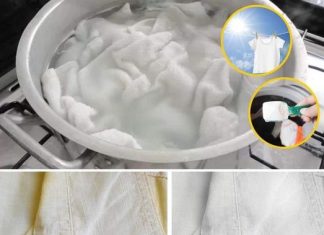 Simple and ecological tips to regain the dazzling whiteness of your clothes