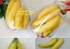 No more rotten and black bananas after a few days