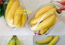 No more rotten and black bananas after a few days