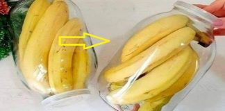 No more rotten and black bananas after a few days