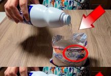 MIX BLEACH AND SALT AND YOU’LL SAVE A LOT OF MONEY AT THE END OF THE MONTH