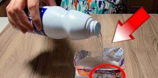 MIX BLEACH AND SALT AND YOU’LL SAVE A LOT OF MONEY AT THE END OF THE MONTH