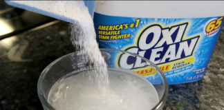 How To Clean Your Sofa / Couch With Oxi Clean