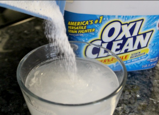 How To Clean Your Sofa / Couch With Oxi Clean