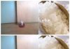 A Simple Trick for a Fresher Home: Vinegar, Salt, and Water