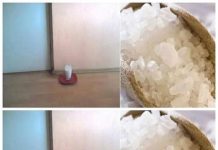 A Simple Trick for a Fresher Home: Vinegar, Salt, and Water