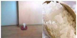 A Simple Trick for a Fresher Home: Vinegar, Salt, and Water