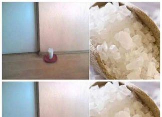 A Simple Trick for a Fresher Home: Vinegar, Salt, and Water