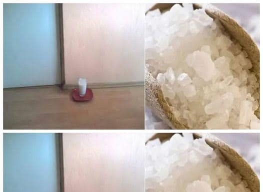 A Simple Trick for a Fresher Home: Vinegar, Salt, and Water