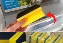 The Fridge Hack You Wish You Knew Sooner: A Simple Sponge Trick