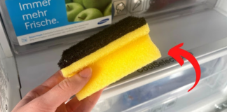 The Fridge Hack You Wish You Knew Sooner: A Simple Sponge Trick