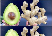 Discover the Potent Goodness of the “Verdant Elixir” Smoothie!