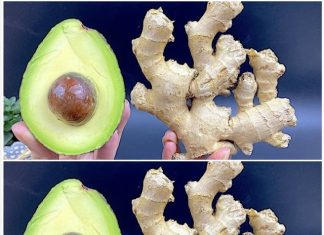 Discover the Potent Goodness of the “Verdant Elixir” Smoothie!