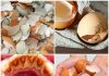The Bright Smile Secret: Eggshell Teeth Whitening Wonder