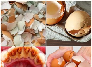 The Bright Smile Secret: Eggshell Teeth Whitening Wonder