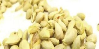 don’t throw lemon seeds in buckets anymore: you have no idea how many benefits they hide