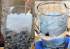 Blueberry water recipe: very simple and refreshing!