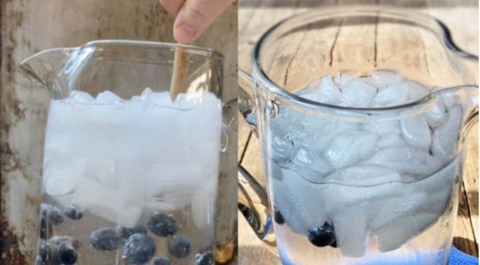 Blueberry water recipe: very simple and refreshing!