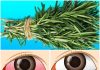 Nurturing Your Eyes: The Natural Path to Optimal Vision