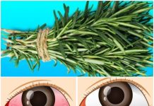 Nurturing Your Eyes: The Natural Path to Optimal Vision