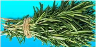 Nurturing Your Eyes: The Natural Path to Optimal Vision