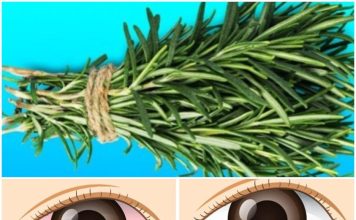 Nurturing Your Eyes: The Natural Path to Optimal Vision
