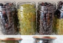 You eat grapes all year round | The process that not everyone knows – It’s very good!