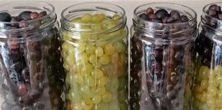 You eat grapes all year round | The process that not everyone knows – It’s very good!