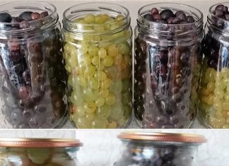 You eat grapes all year round | The process that not everyone knows – It’s very good!