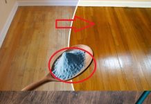 Shiny Floors without Chemicals: Discover the Cleaning Companies’ Secret!