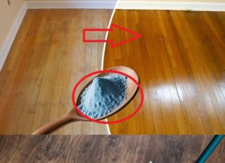 Shiny Floors without Chemicals: Discover the Cleaning Companies’ Secret!