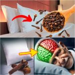 The Surprising Benefits of Placing Cloves Under Your Pillow
