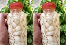 Garlic always fresh and intact for a whole year: only chefs know this trick in the kitchen