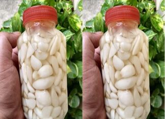 Garlic always fresh and intact for a whole year: only chefs know this trick in the kitchen