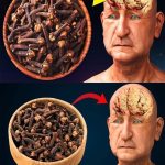 Discovering the Wonders of Cloves: A Guide to Enhancing Health After 50