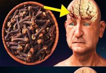 Discovering the Wonders of Cloves: A Guide to Enhancing Health After 50