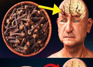 Discovering the Wonders of Cloves: A Guide to Enhancing Health After 50