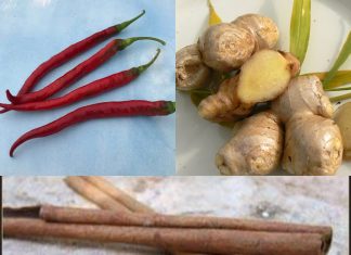 6 Super Spices: Nature’s Gift for Your Well-being