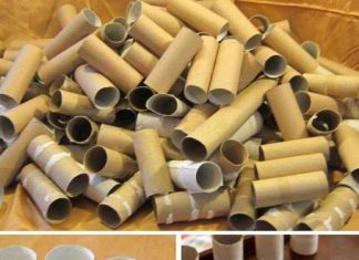 Don’t throw away your toilet paper rolls! Here are 12 ways to reuse them around the house