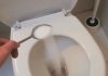 Introducing a Game-Changer for Toilet Maintenance: Citrus Infusion