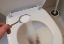 Introducing a Game-Changer for Toilet Maintenance: Citrus Infusion