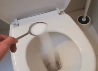 Introducing a Game-Changer for Toilet Maintenance: Citrus Infusion