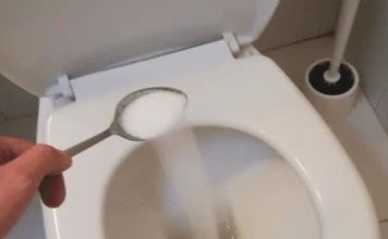 Introducing a Game-Changer for Toilet Maintenance: Citrus Infusion