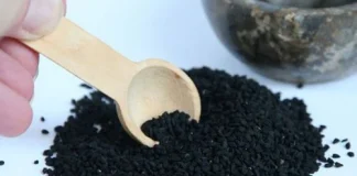 The plant mentioned in the Bible that is said to cure any disease