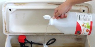 DIY Natural Toilet Cleaner + 6 Bathroom Toilet Cleaning Tips