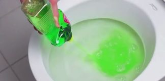 Dish Soap in the Toilet: A Revolutionary Trick for Daily Use