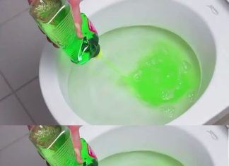 Dish Soap in the Toilet: A Revolutionary Trick for Daily Use