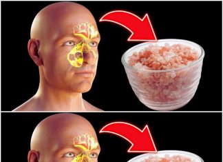Easy Breathing: How Himalayan Salt Can Help Your Sinuses and Throats